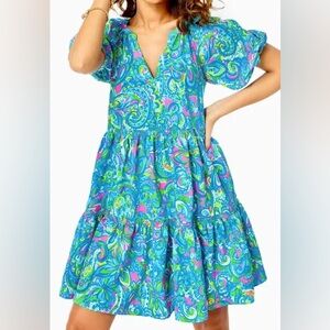 Lilly Pulitzer Shannon Swing Dress size XL - NWOT